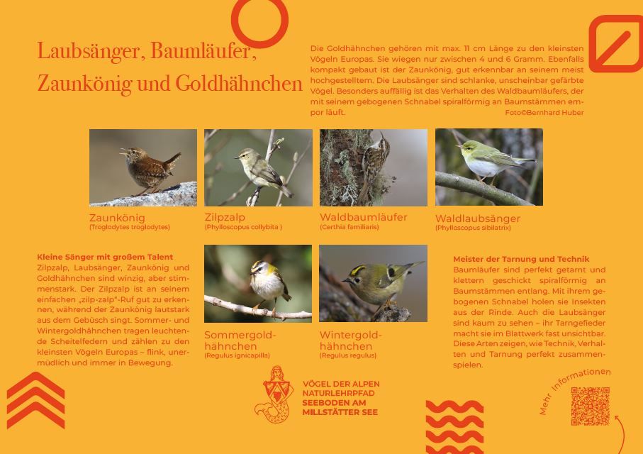 Sie sehen die Tafel mit allen Informationen. Der QR- Code führt vom Lehrpfad auf diese Seite um alle Informationen zu erhalten. 