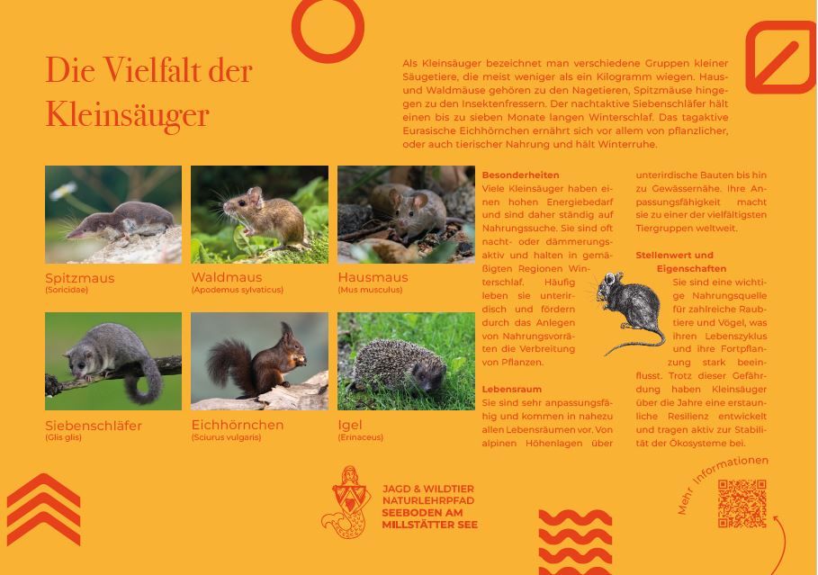 Sie sehen die Tafel mit allen Informationen zu Kleinsäuger. Der QR- Code führt vom Lehrpfad auf diese Seite um alle Informationen zu erhalten. 