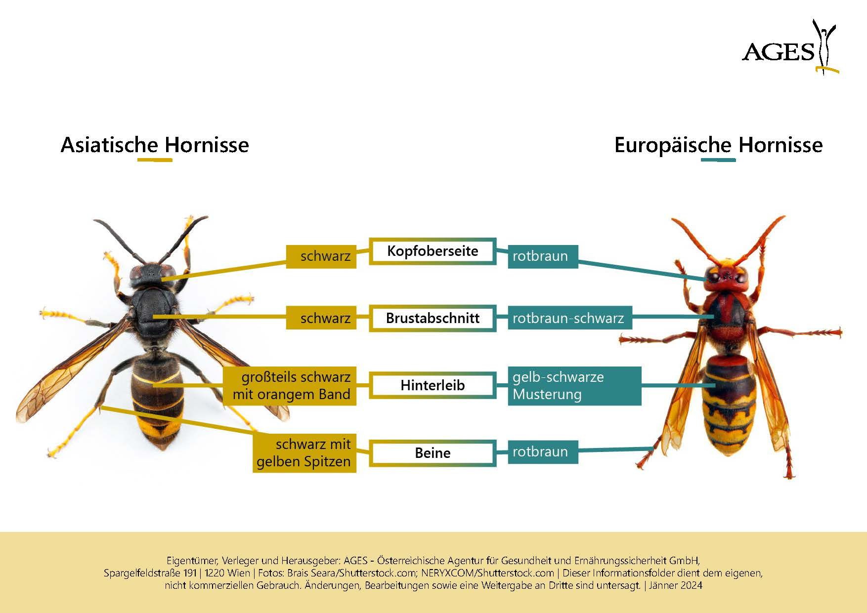 Erkennungsmerkmale - Symbolfoto