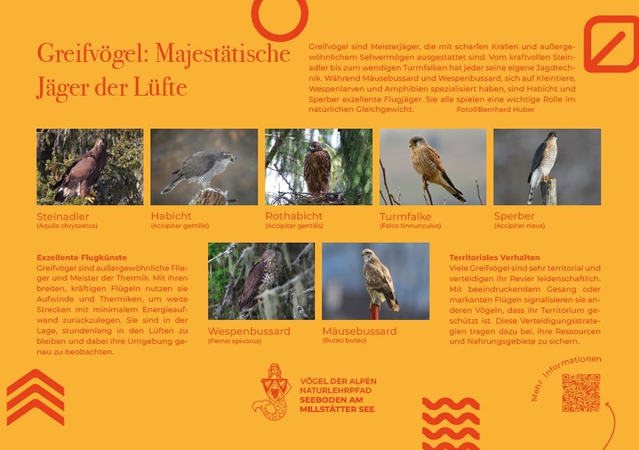 Sie sehen die Tafel mit allen Informationen. Der QR- Code führt vom Lehrpfad auf diese Seite um alle Informationen zu erhalten. 