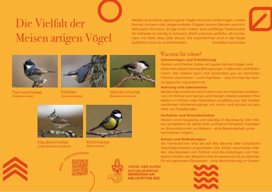 Sie sehen die Tafel mit allen Informationen. Der QR- Code führt vom Lehrpfad auf diese Seite um alle Informationen zu erhalten. 