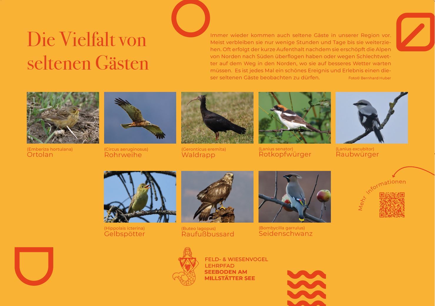 Sie sehen die Tafel mit allen Informationen zu Seltene Gäste