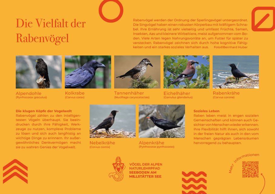 Sie sehen die Tafel mit allen Informationen. Der QR- Code führt vom Lehrpfad auf diese Seite um alle Informationen zu erhalten. 