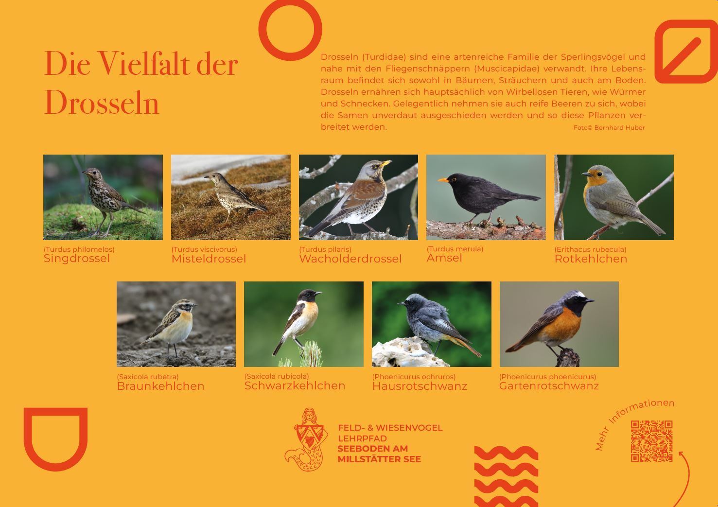 Sie sehen die Tafel mit allen Informationen zu Drosseln