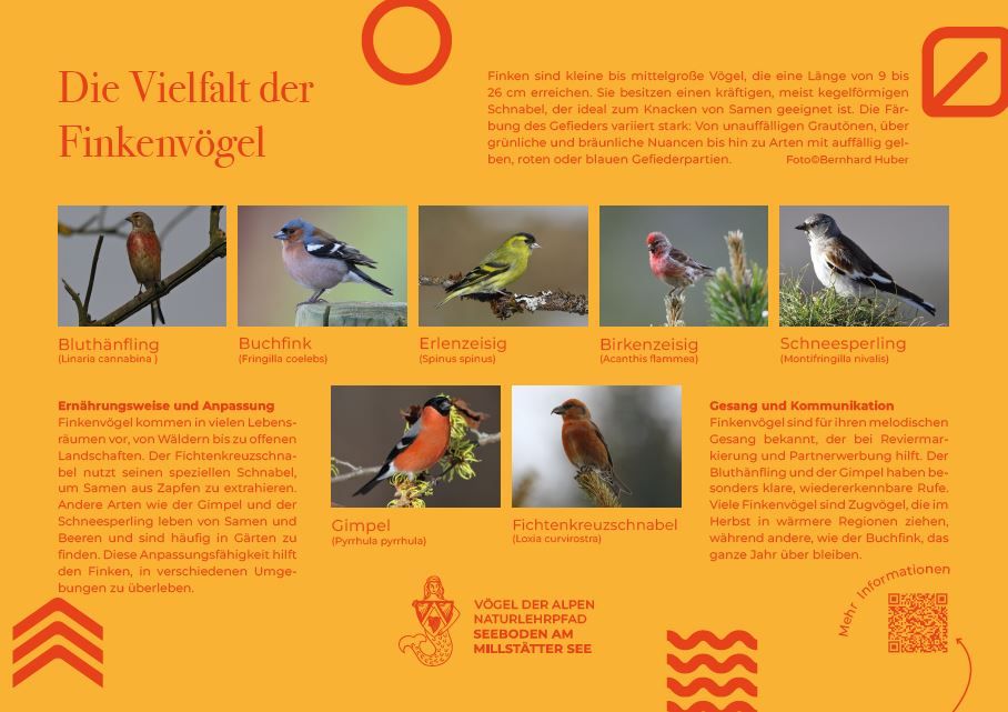 Sie sehen die Tafel mit allen Informationen. Der QR- Code führt vom Lehrpfad auf diese Seite um alle Informationen zu erhalten. 