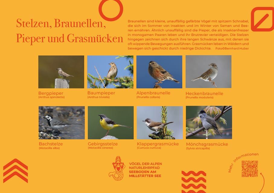 Sie sehen die Tafel mit allen Informationen. Der QR- Code führt vom Lehrpfad auf diese Seite um alle Informationen zu erhalten. 