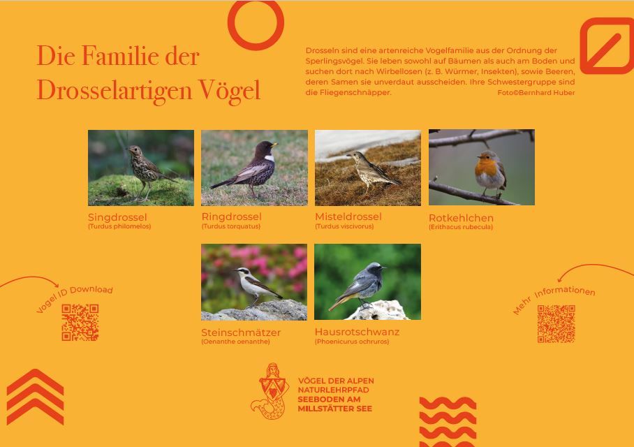 Sie sehen die Tafel mit allen Informationen. Der QR- Code führt vom Lehrpfad auf diese Seite um alle Informationen zu erhalten. 