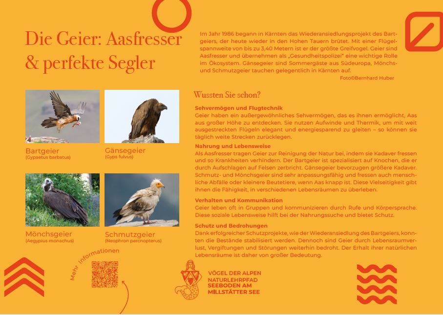 Sie sehen die Tafel mit allen Informationen. Der QR- Code führt vom Lehrpfad auf diese Seite um alle Informationen zu erhalten. 