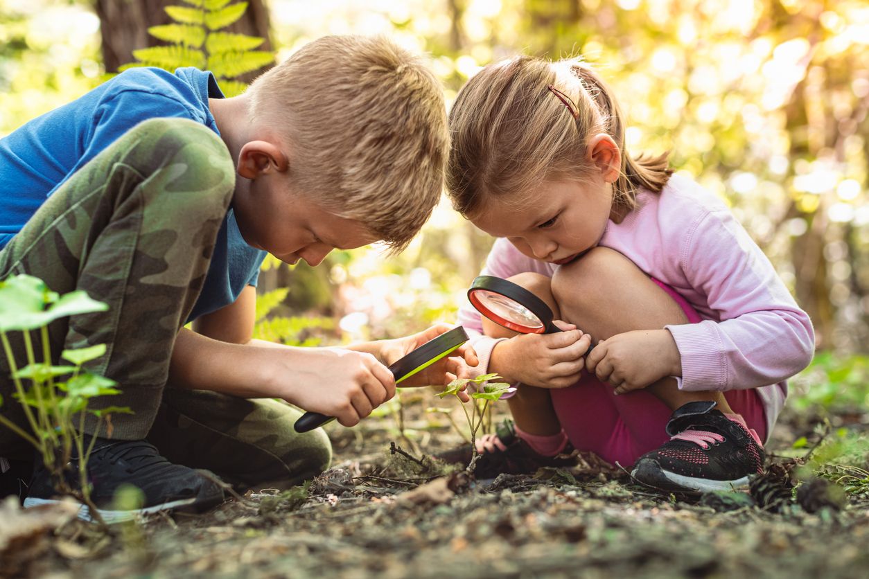 Sie sehen ein Bild mit zwei Kindern - Kinder erkunden den Wald mit der Lupe – Stockfoto Foto: © kieferpix  - Stock-Fotografie-ID:1719110272